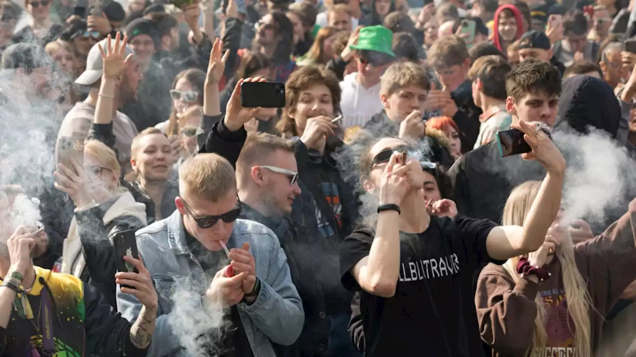 Jeder dritte junge Berliner kifft!