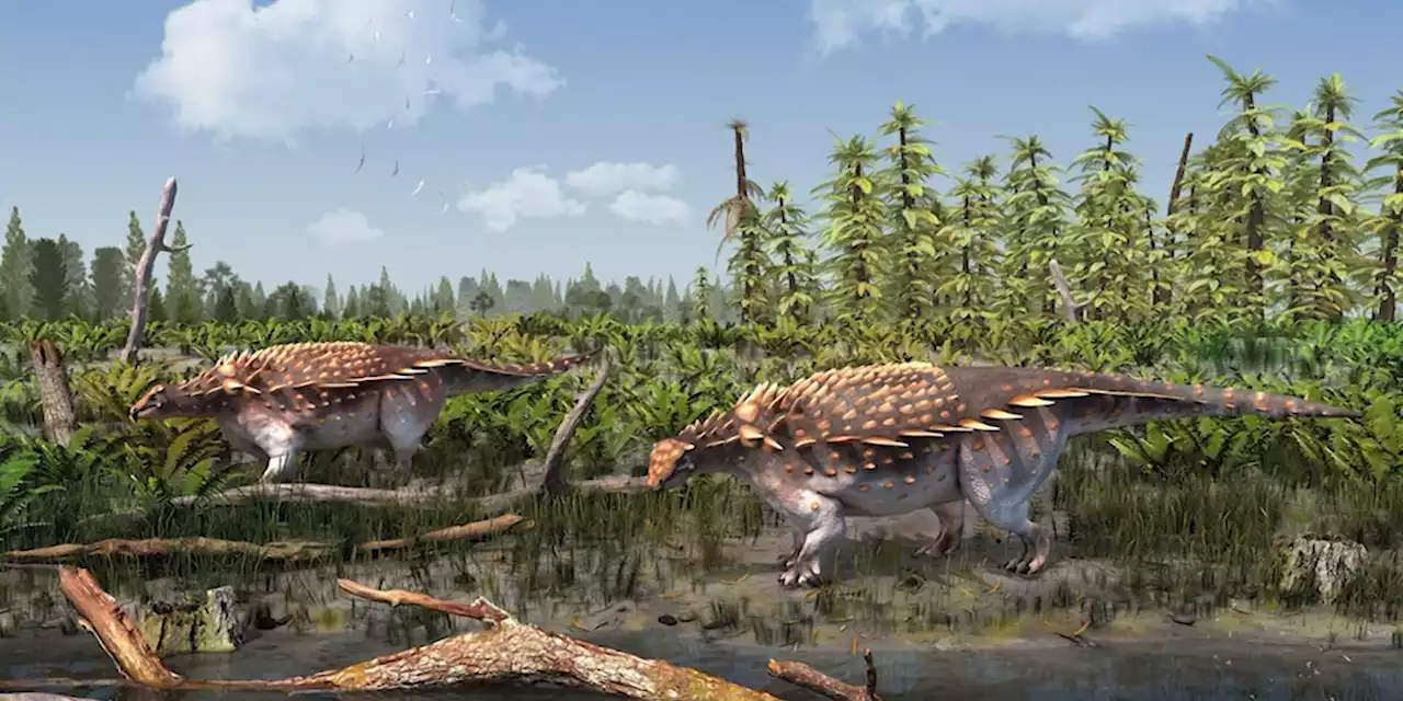 New dinosaur species discovered on English island