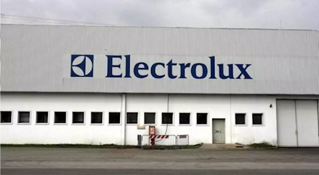 Golden Power, il governo blinderà anche Electrolux (dopo Pirelli): perché scatta la protezione