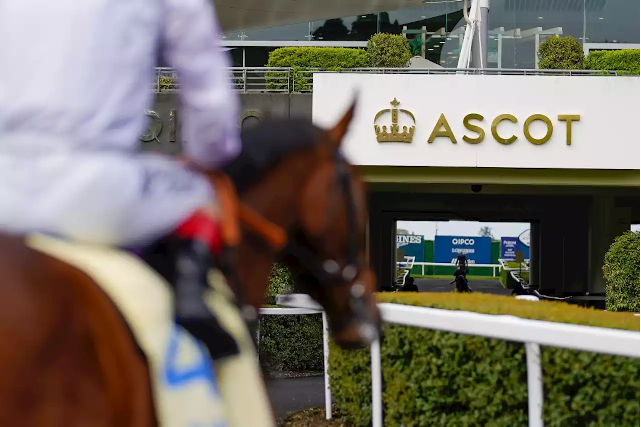 WeDo Sports FAST Network Launches Ahead Of Royal Ascot Horse Races