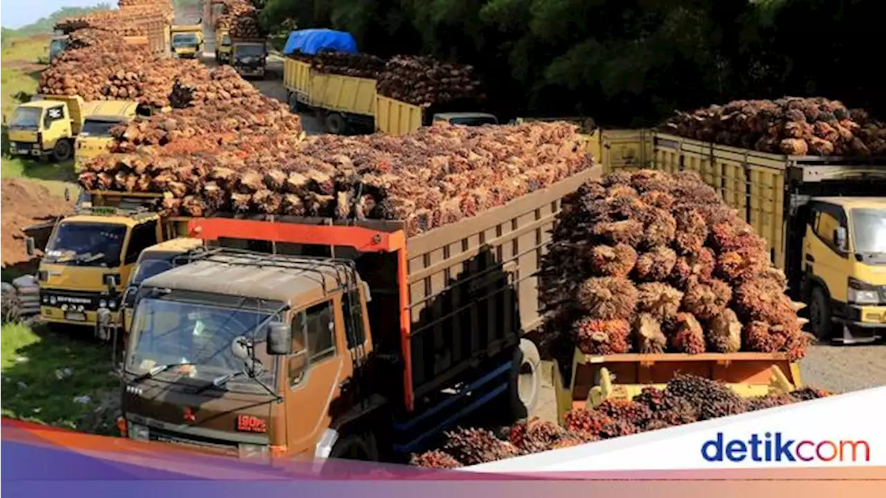 Harga Rerefensi CPO Turun Jadi US$ 723/MT