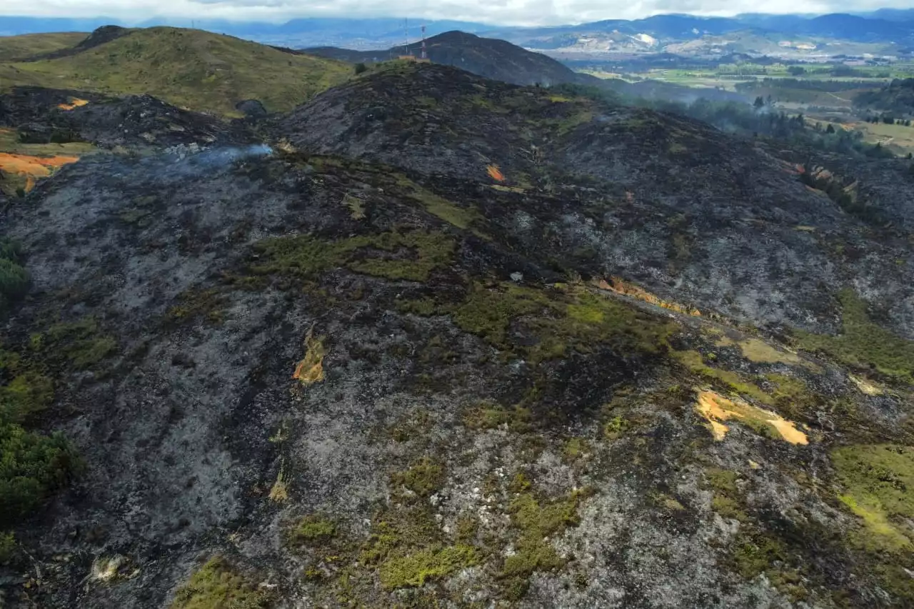 Activan alerta por aumento de incendios forestales en Cundinamarca y la Sabana