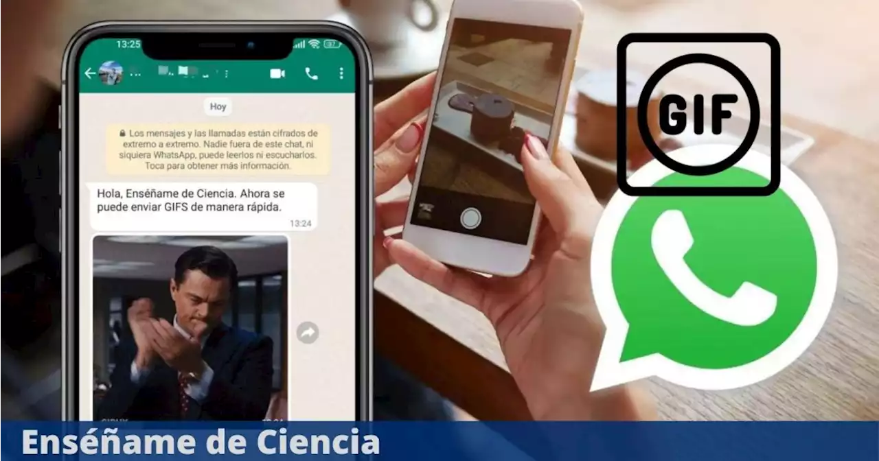 WhatsApp: ahora puedes enviar GIFs con reproducción automática de manera sencilla