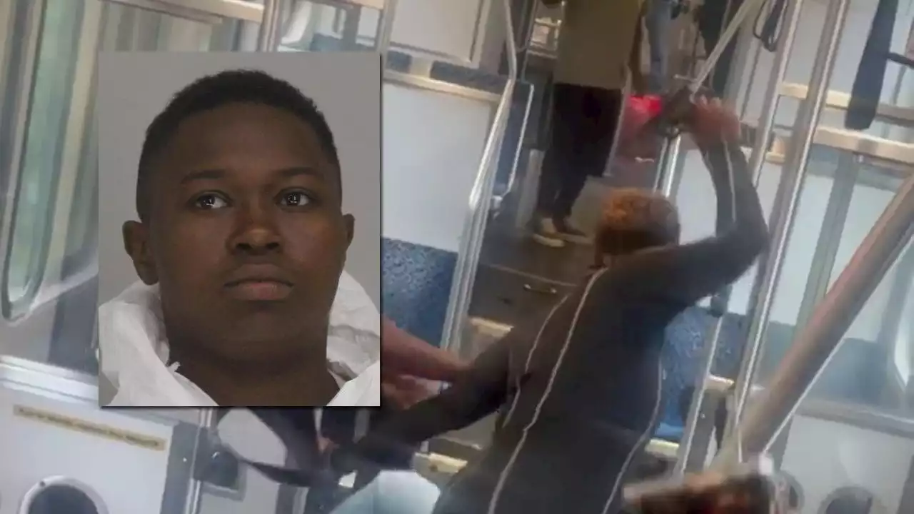 Woman arrested for allegedly 'pistol-whipping' man on DART train