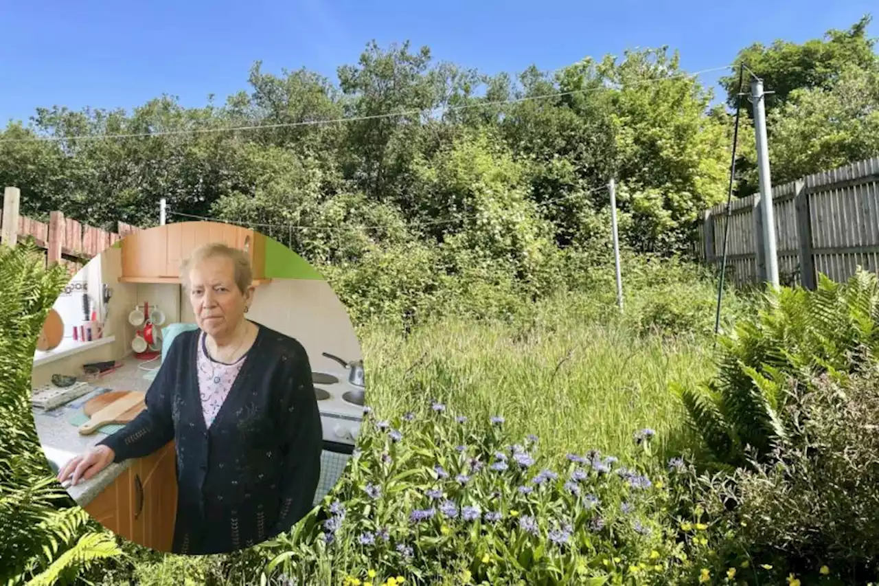 Family's fury as cancer-stricken OAP left with 'jungle' garden