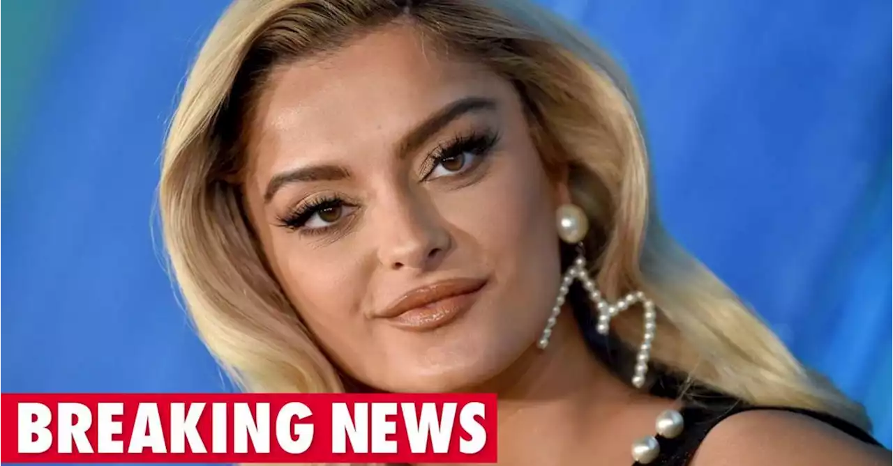 Bebe Rexha offers fans update, shares pictures of injury, after horrifying attack on stage