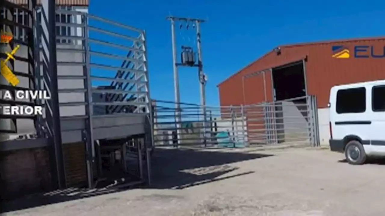 Juzgan a los miembros de una trama que introducía en el mercado carne de caballo no apta para consumo humano