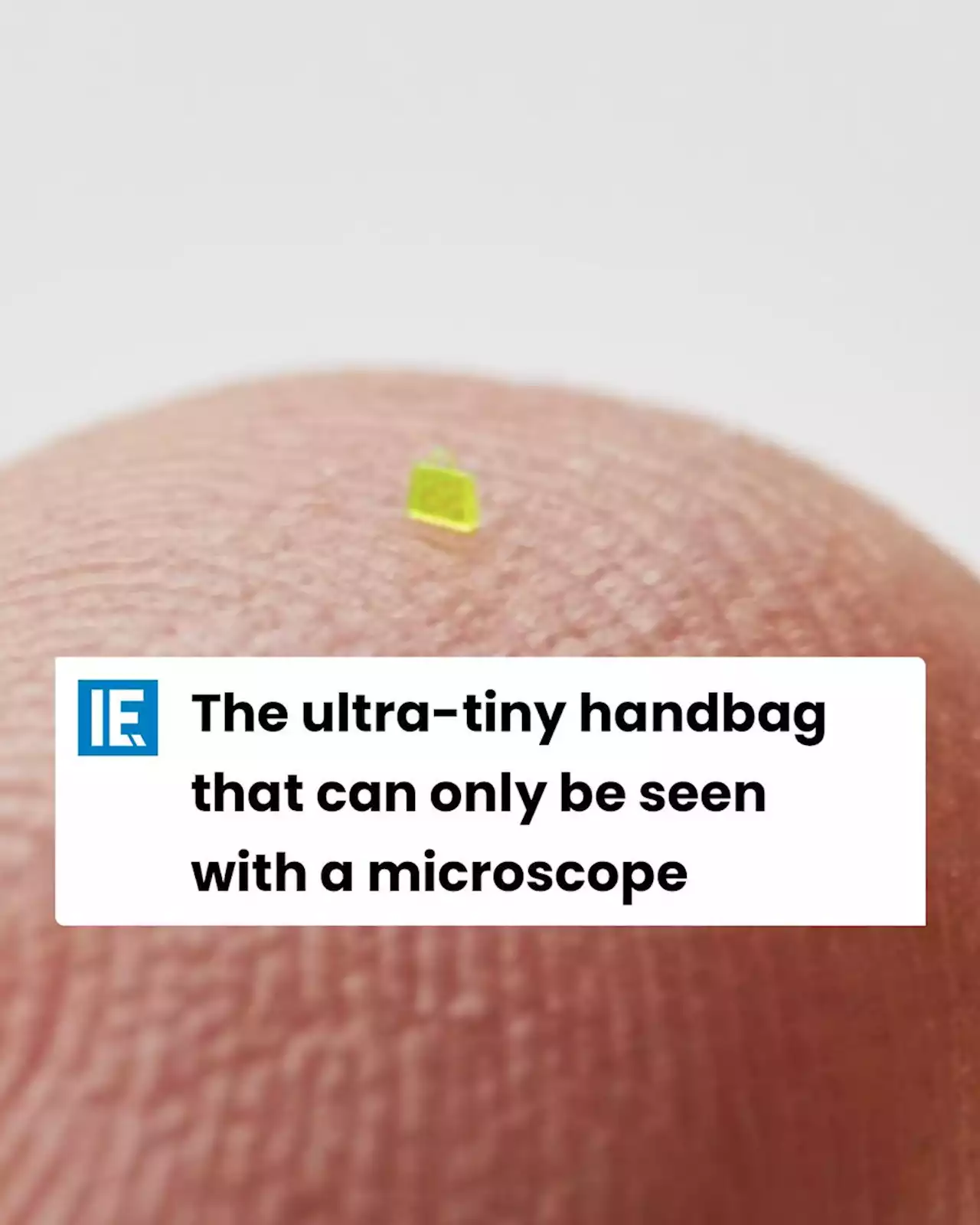 The ultra-tiny handbag that can only be seen with a microscope