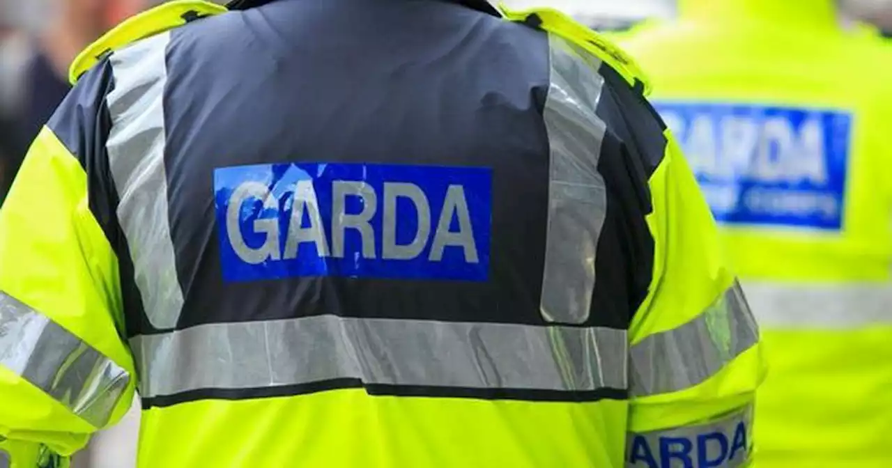 More than 2,000 Gardaí assaulted on duty over past seven years