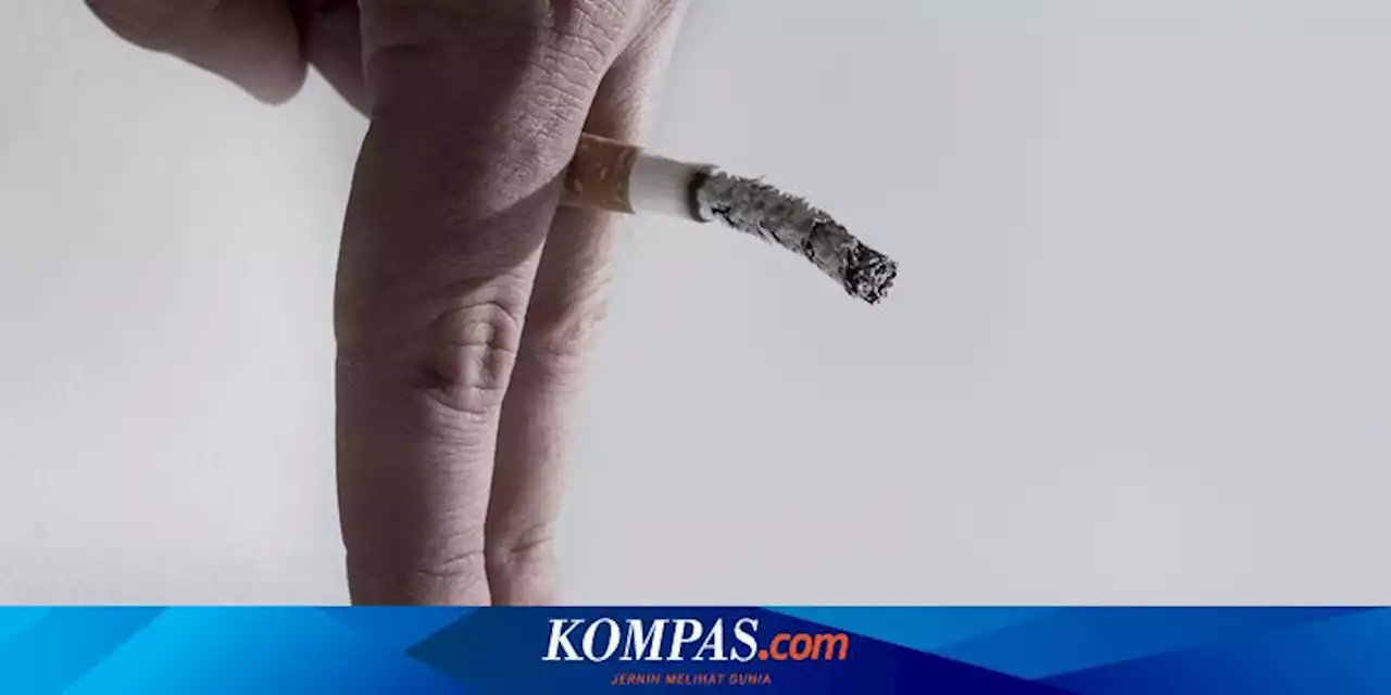 Kandungan Kimia Rokok Berperasa di Indonesia Kaburkan Bahaya Rokok