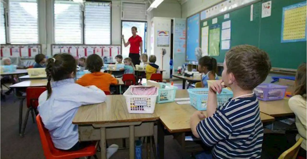 Miles de pupitres de Infantil se quedarán vacíos este curso: del 50% libre en Extremadura a la falta de plazas en Madrid