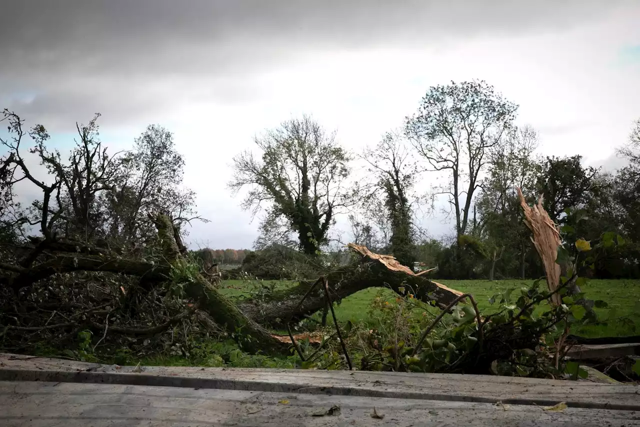 Météo : les tornades en France, un phénomène méconnu