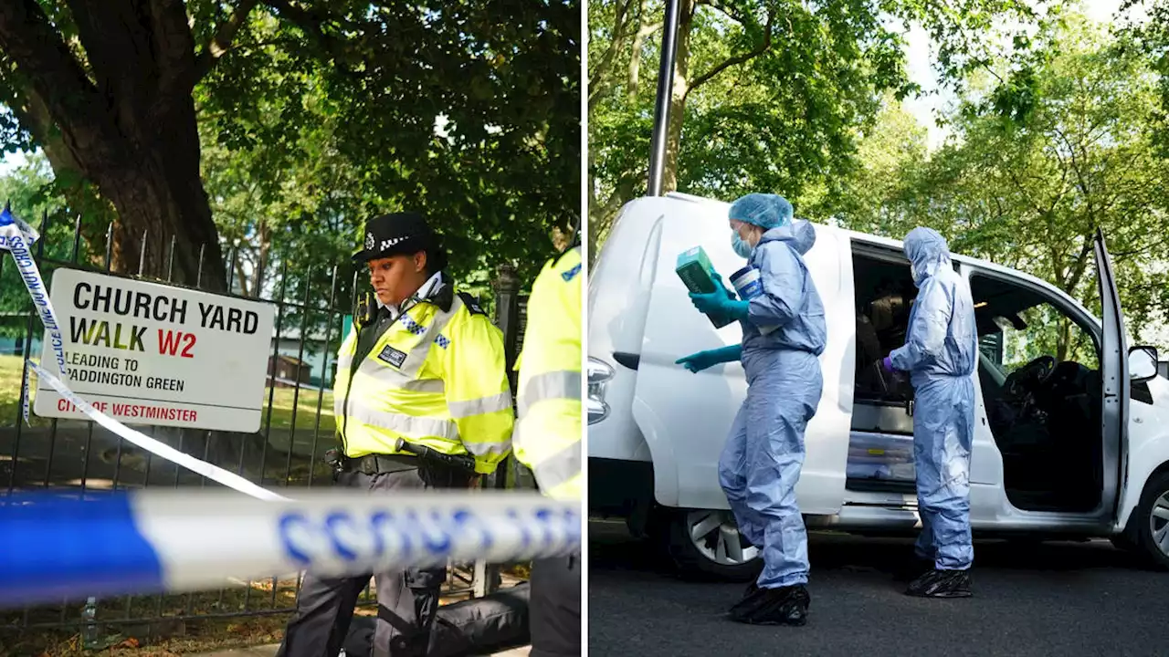 Murder probe after teenager, 17, stabbed to death in Paddington