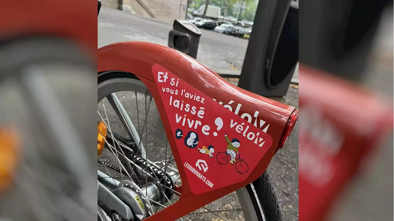 Le maire de Lyon condamne la « campagne ignoble » menée par des anti-IVG sur les Velo’v trois semaines après celle sur les Vélib