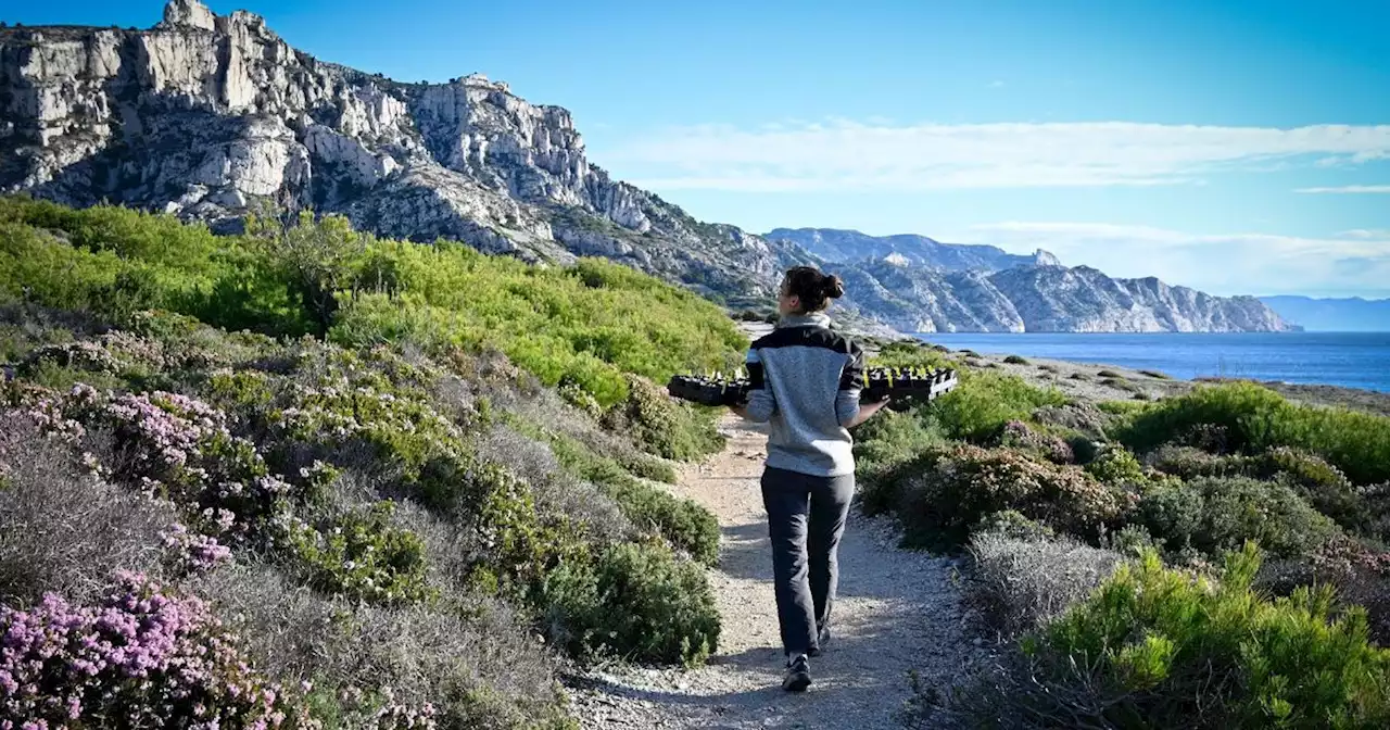 'Surtourisme' : le plan de la France pour s'attaquer au problème