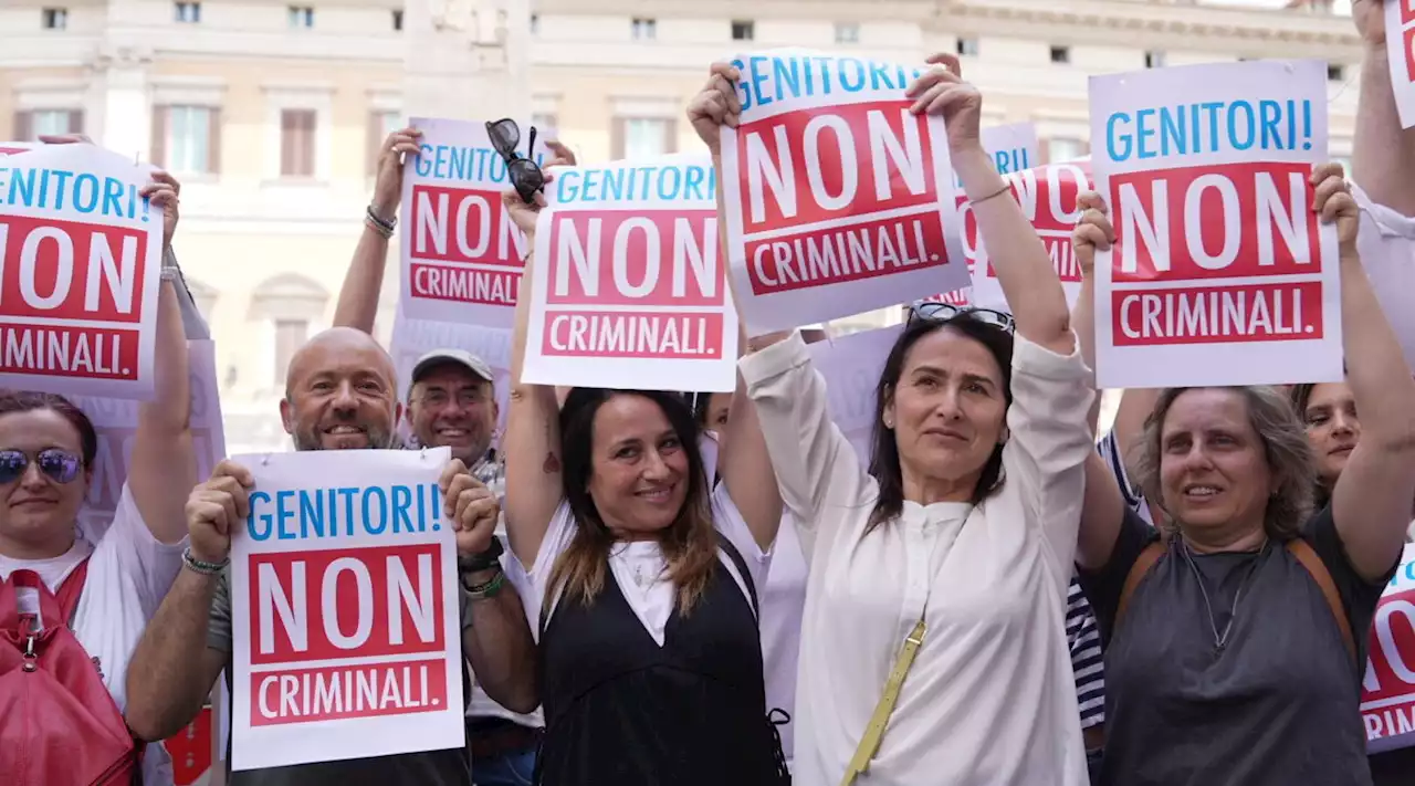 Maternità surrogata, la protesta dei genitori contro il governo: 'Non siamo criminali'