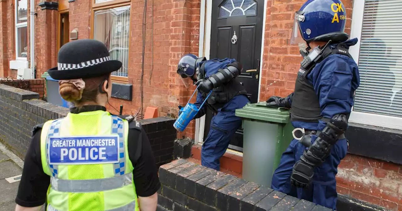 Ten men arrested as police bust cannabis farm as part of dawn raids in Tameside