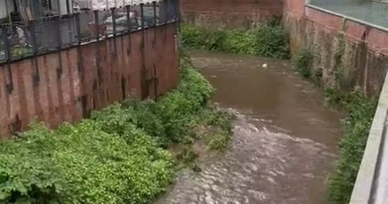 'You can smell it': Sewage dumped into river after system hits capacity in storm