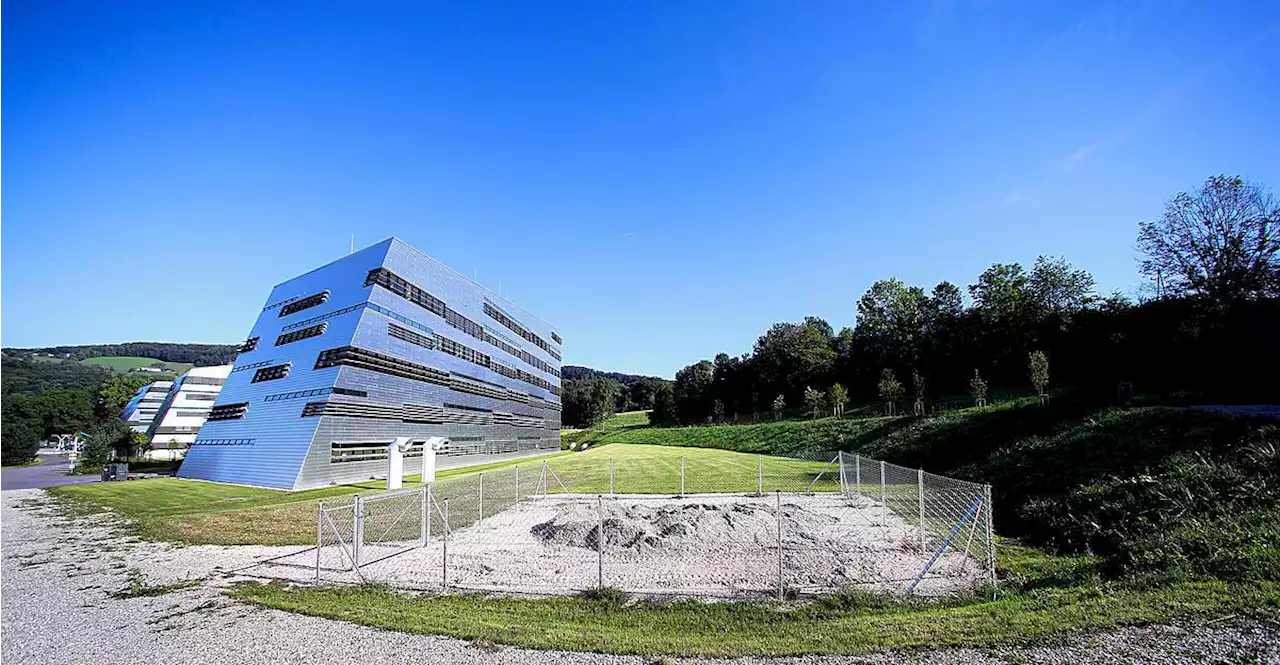 Digital-Uni: Räume vorhanden, Lehrpläne noch immer nicht fixiert