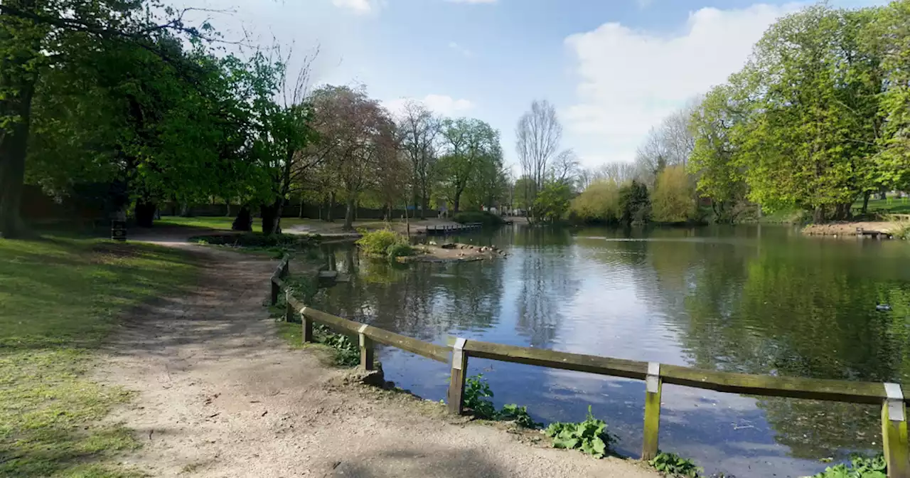 Concern as dead fish seen floating in pond at park