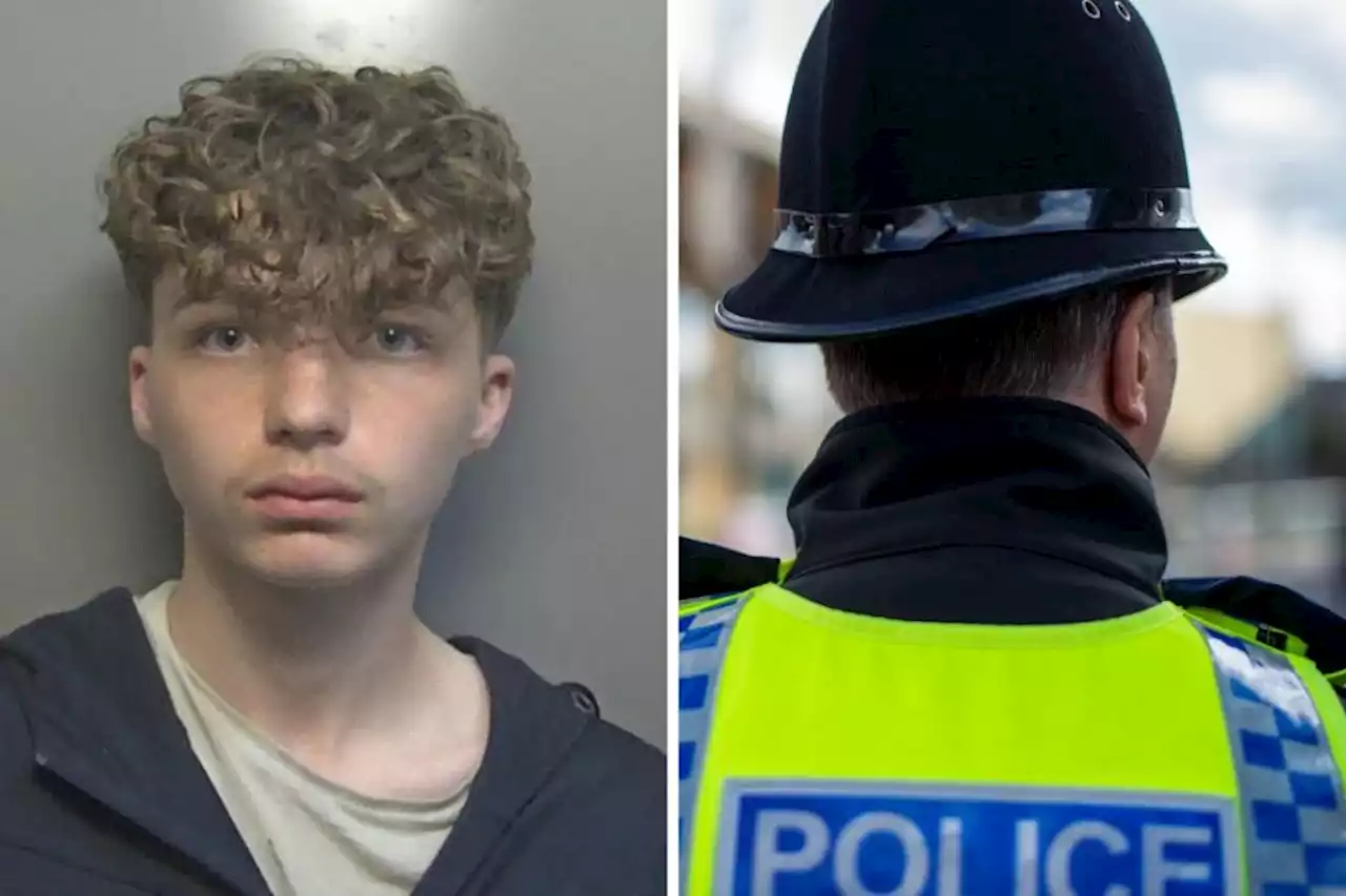 Help find Harvey, 14, missing for five days