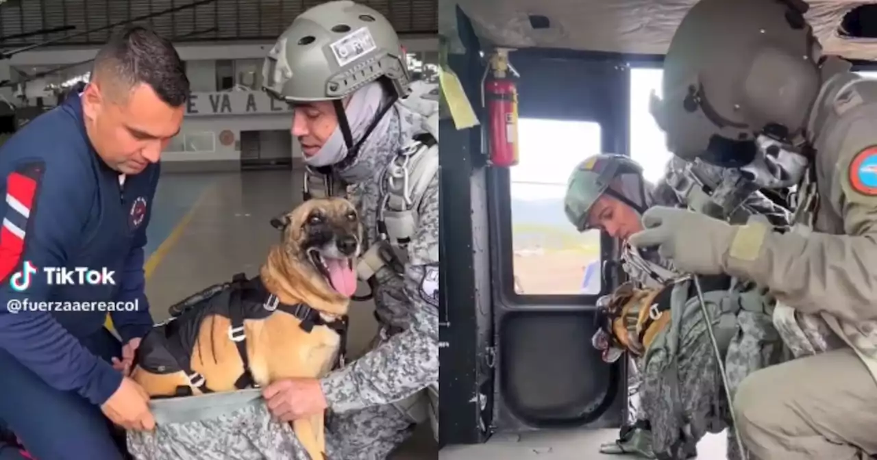 Zuki, una perrita paracaidista de la Fuerza Aérea, realizó un salto de fe para mandar mensaje a Wilson