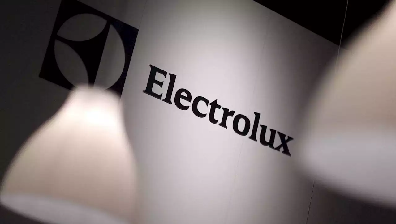 Electrolux, golden power se arrivano i cinesi di Midea