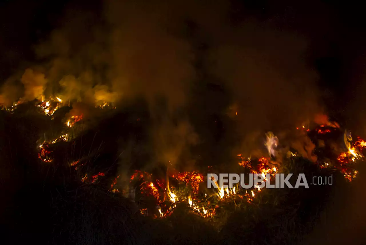 Kebakaran Lahan Gambut di Kalimantan Selatan |Republika Online