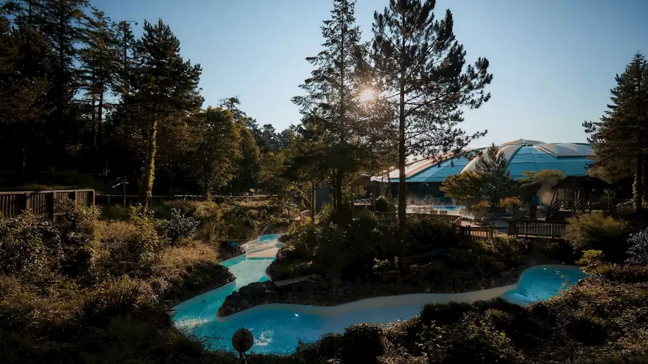 Pinewood-owner Aermont joins list of Center Parcs suitors