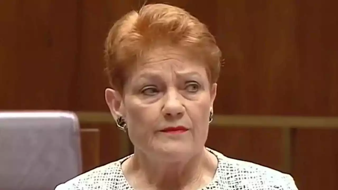 PM calls for 'respectful debate' after Pauline Hanson slams Voice