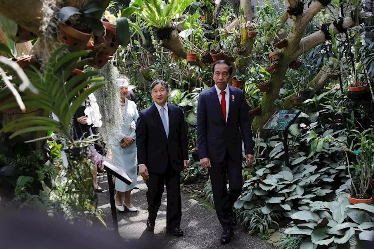 Jokowi meets with Emperor Naruhito of Japan, expresses hope for stronger ties