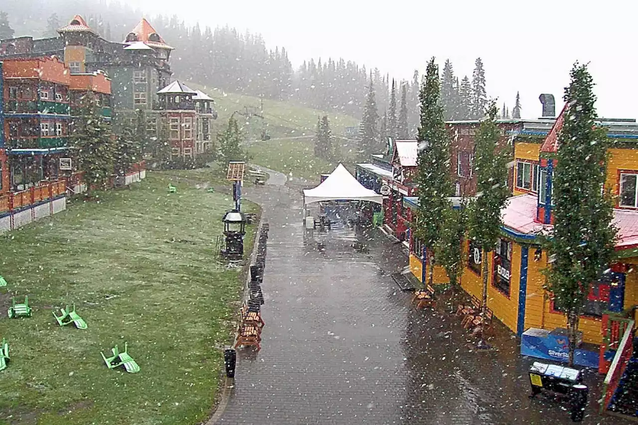 Snow in June at B.C. ski hill - Terrace Standard