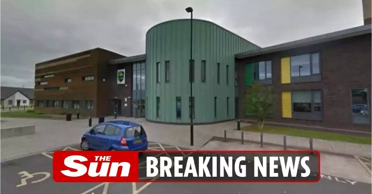 Boy, 12, dies after collapsing on school field as onlookers battled to save him