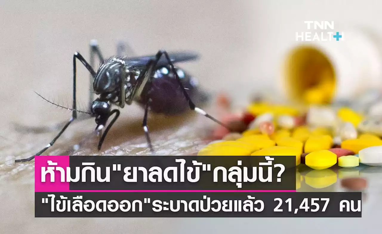 'ไข้เลือดออก' ระบาด หากสงสัยว่าป่วยห้ามรับประทานยาลดไข้กลุ่มนี้?