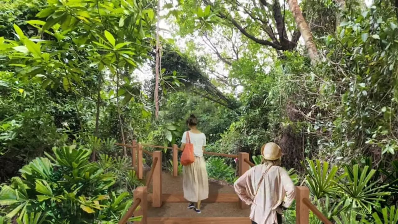 Coastal forest trail, hilltop views and lagoon tidal pool: Big Sister’s Island to reopen in 2024