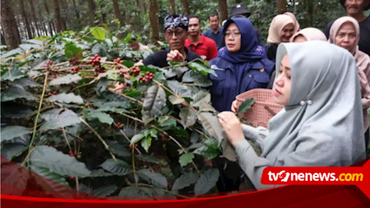 Bersama Petani Kopi, Bupati Mojokerto Harapkan Kemajuan Ekonomi Kerakyatan