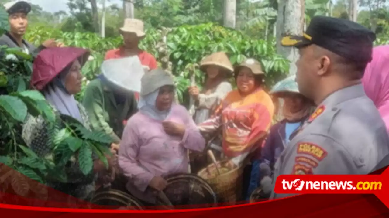 Harga Biji Kopi Mahal Marak Pencurian, Kapolres 'Turun Gunung'