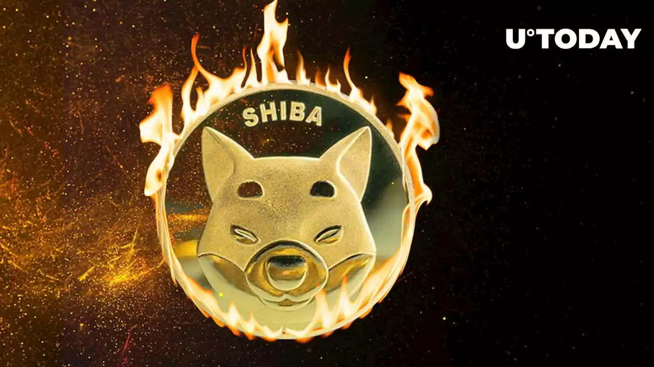 Shiba Inu (SHIB) Burn Rate up 810%, Price Jump Follows