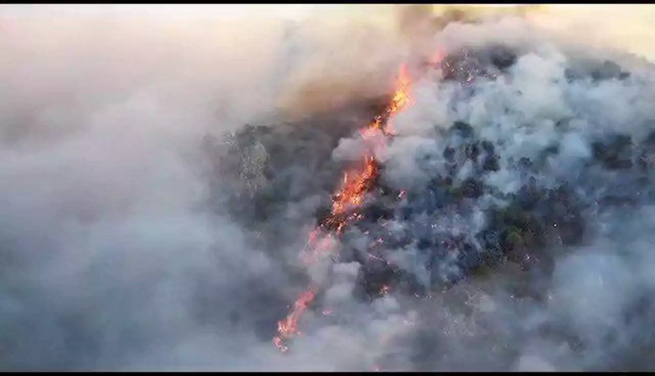 Incendio ha acabado con 9 mil 100 hectáreas en norte de Sonora