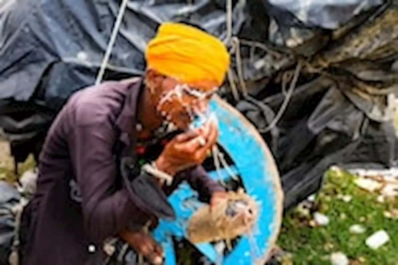 Deaths rise in India as temperatures also soar in latest heat wave