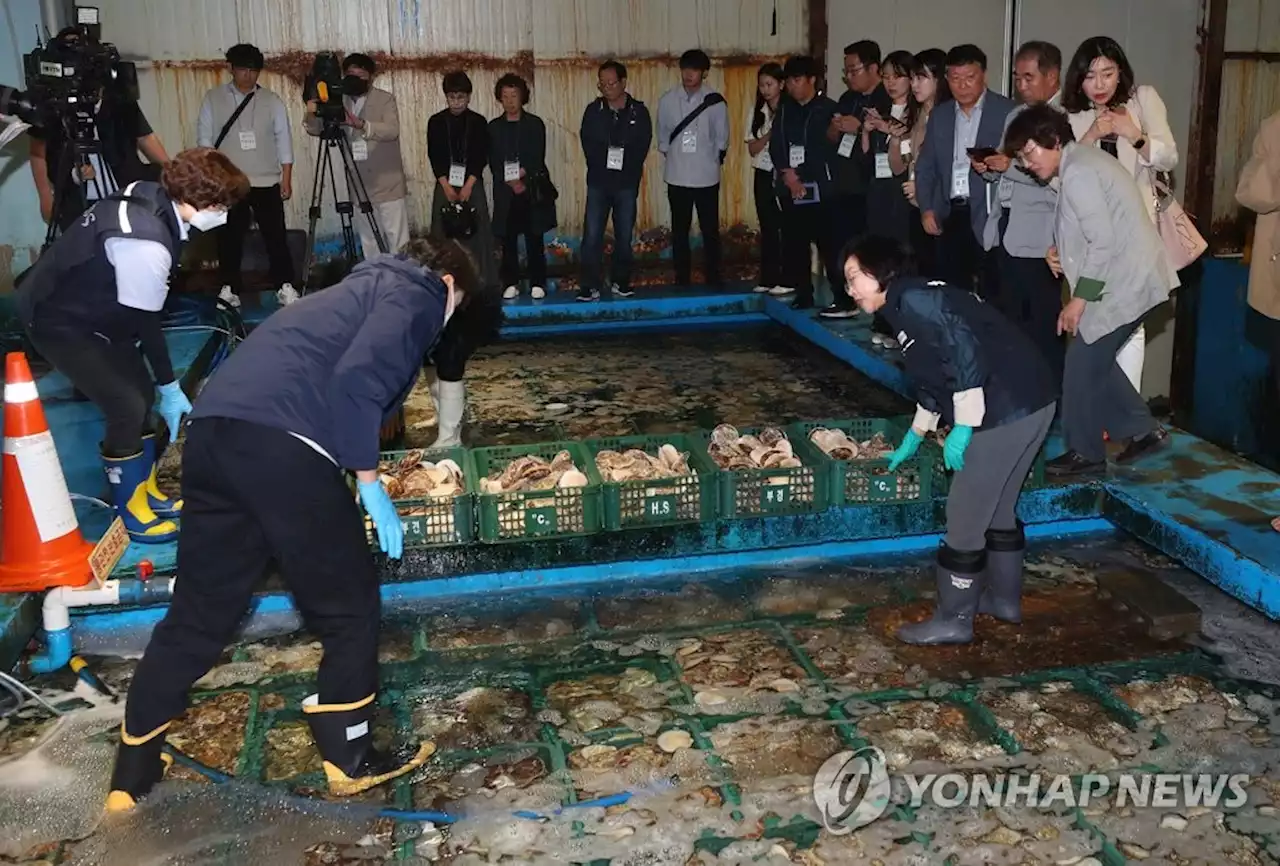 지난달 일본 어패류 수입량 30% 넘게 감소…수입액 동시 줄어 | 연합뉴스