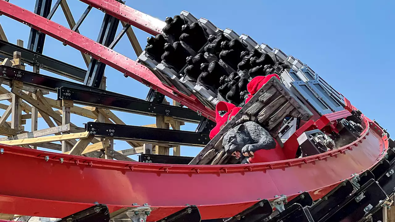 Wildcat's Revenge: New hybrid roller coaster opens in Hersheypark with world's largest underflip