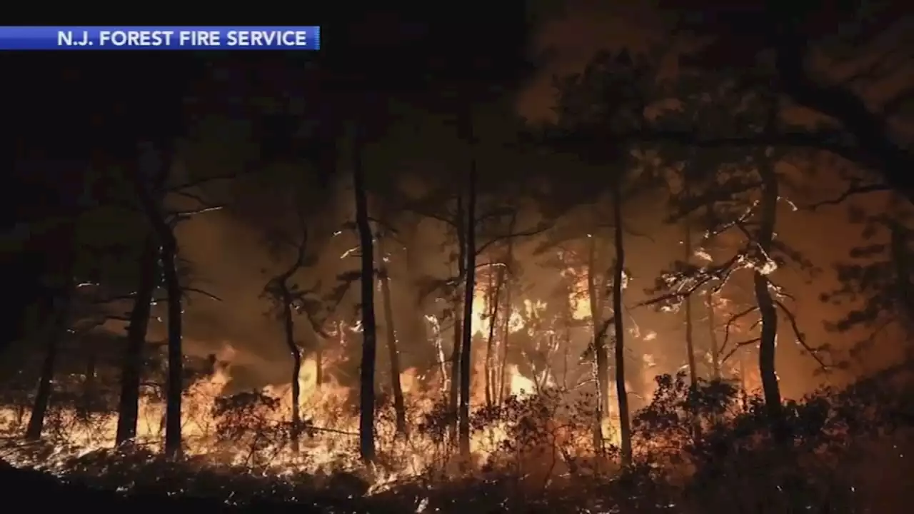 Burlington County, New Jersey wildfire grows to 5,000 acres; blaze is 50% contained