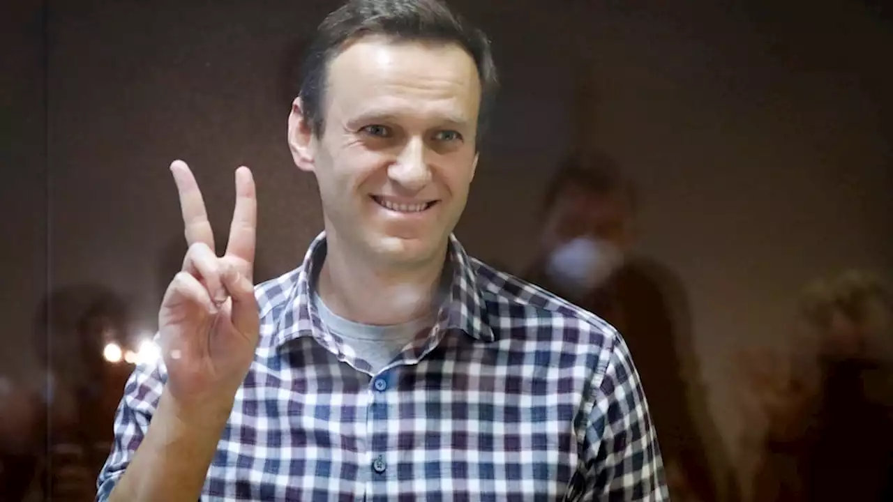 'Can I have a kangaroo?': Jailed Navalny taunts Russian prison with bizarre requests