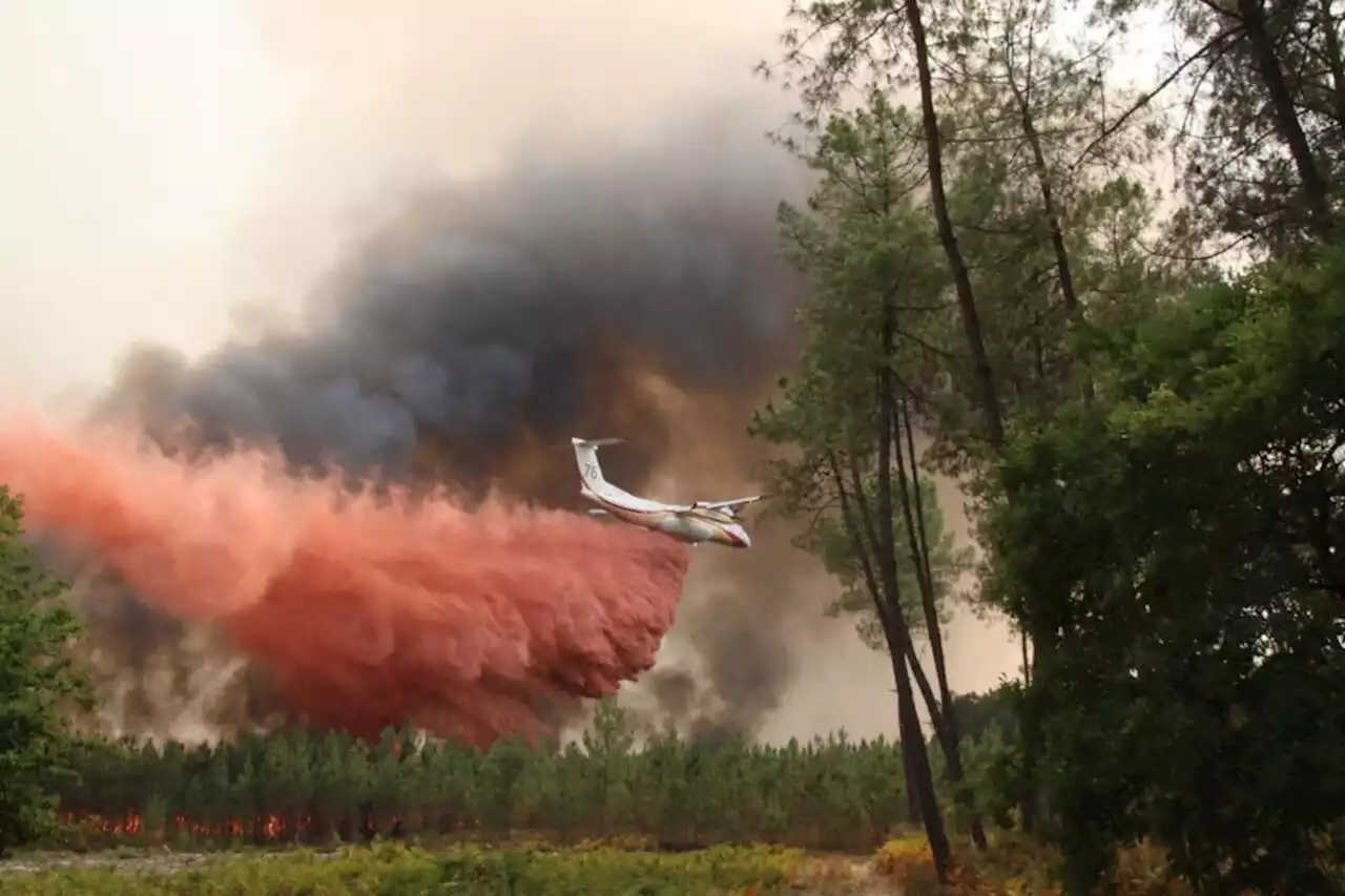 Incendies : Météo France dévoile le premier bulletin de sa météo des forêts