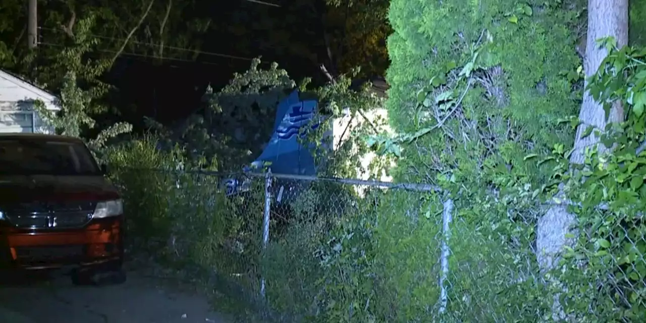 Pilot, passenger walk away from small plane that crashed in Detroit backyard