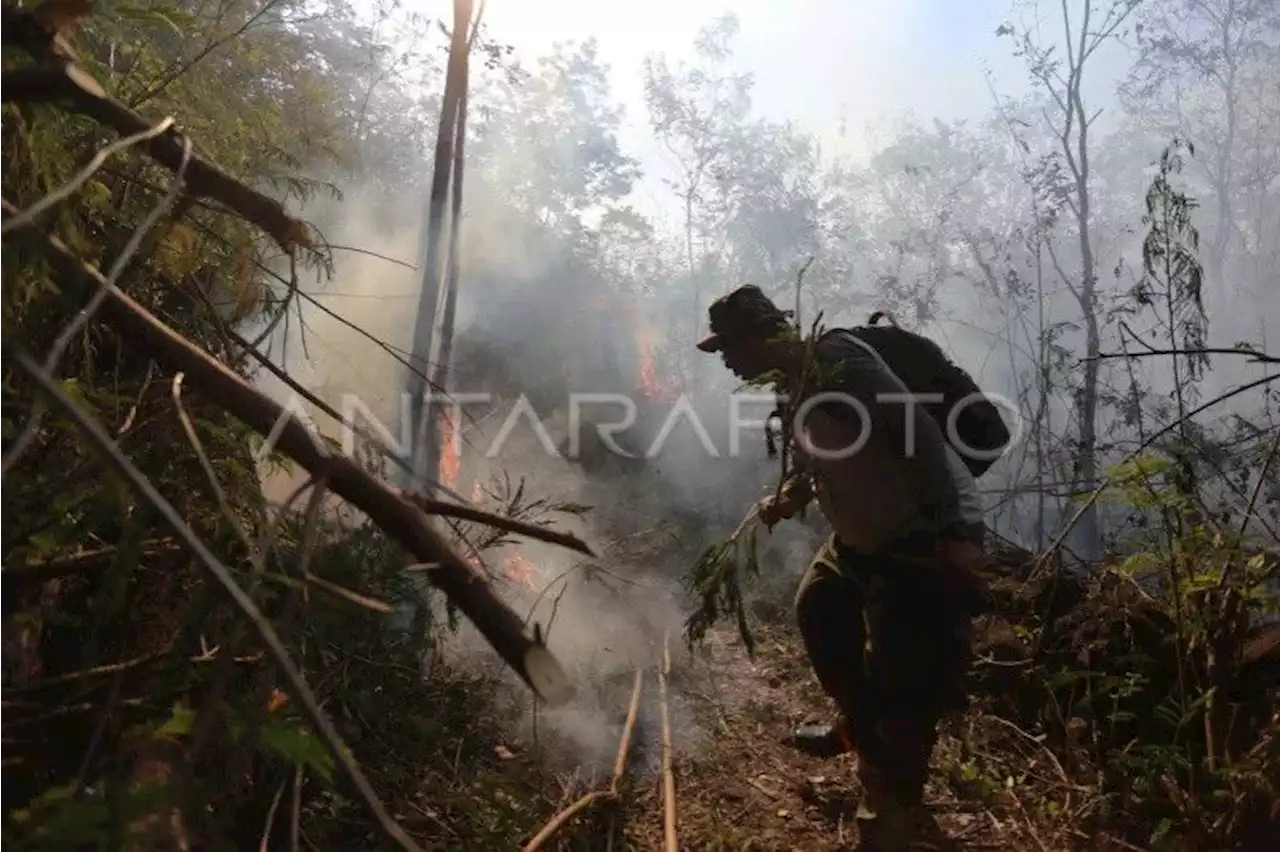 BPBD Kuningan petakan kawasan hutan Gunung Ciremai rawan kebakaran