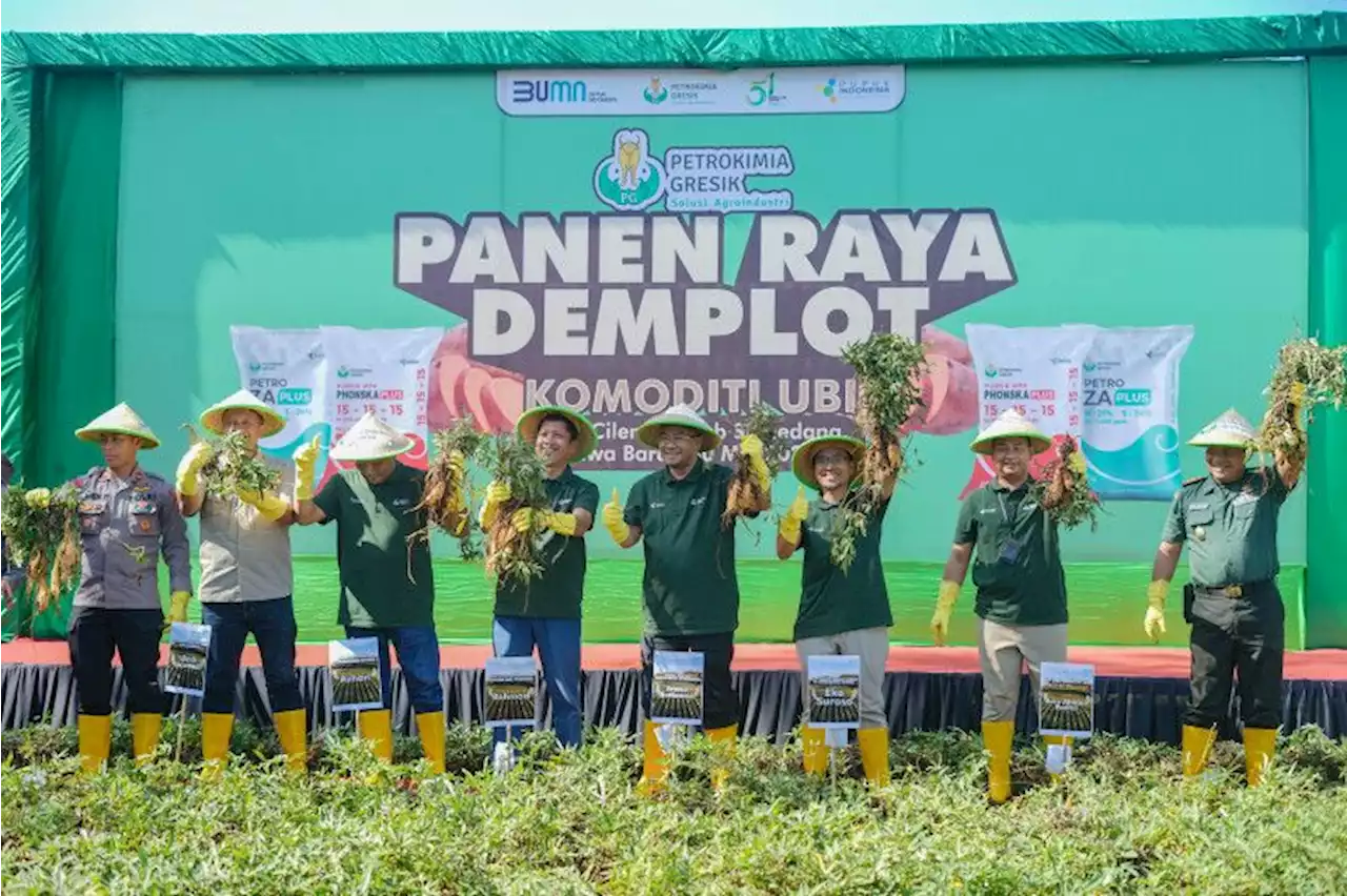 Petrokimia Gresik kembangkan pupuk untuk produktivitas ubi cilembu