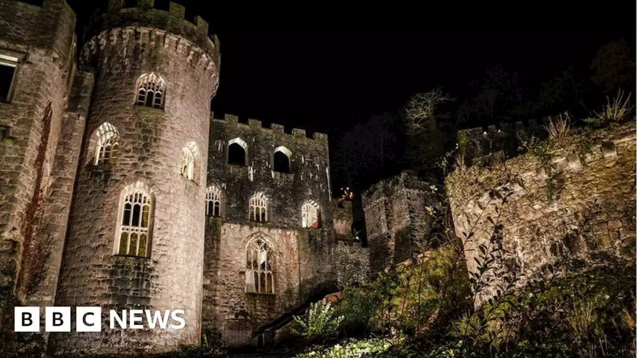 I'm A Celeb: Gwrych Castle given alcohol licence