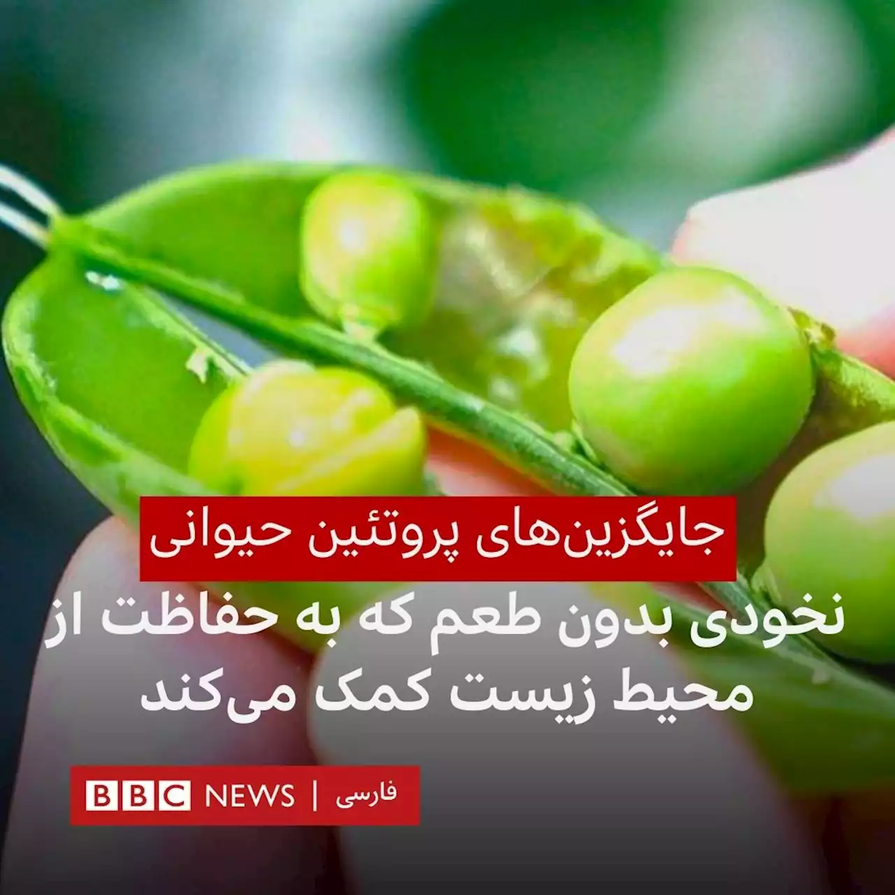 انتقاد آمریکا از انتخاب ایران به عنوان یکی از ۱۶ نائب رئیس مجمع عمومی سازمان ملل - BBC News فارسی